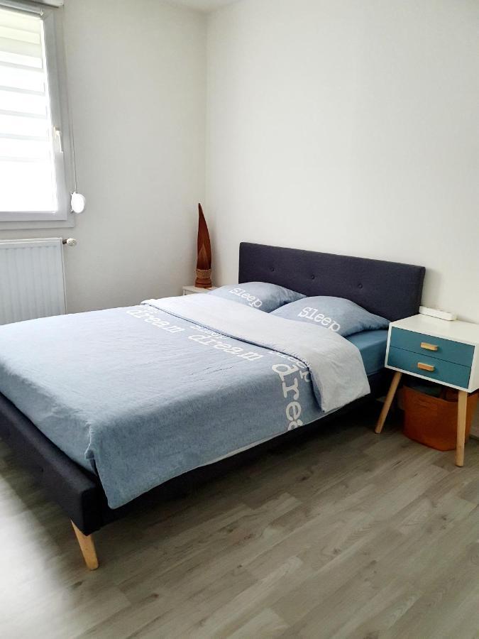 Bel Appartement Cosy Strasbourg Extérieur photo